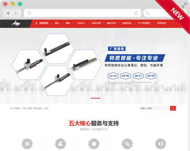 特思精(jīng)工(gong)品(pin)牌網站設(shè)計(ji)案例